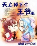 天上掉下個王爺來
