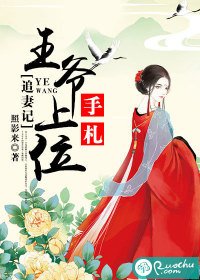 追妻记:王爷上位手札