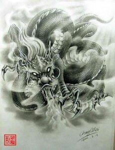 龍嘯九天之人界風雲