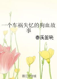 一個車禍失憶的狗血故事