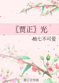 （BL/賈正同人）光