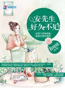 安先生，好久不見