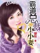 霸道總裁小小妻