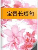 寶晉長短句
