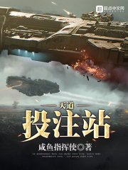 天岛投注站
