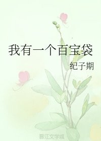 我有一個百寶袋