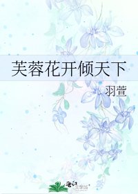 《芙蓉花开倾天下》