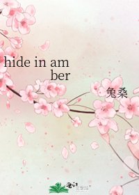 《hide in amber》