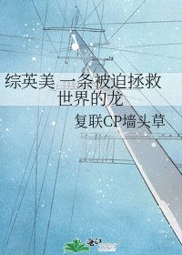 《综英美 一条被迫拯救世界的龙》