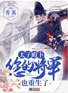 太子殿下,您的将军也重生了