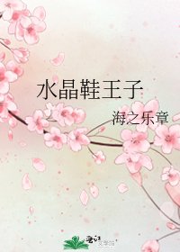 水晶鞋王子