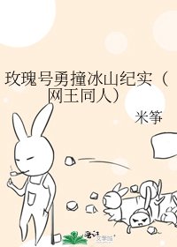 玫瑰号勇撞冰山纪实（网王同人）
