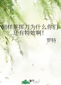 同样是挥刀为什么你们还有特效啊！