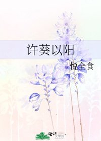 许葵以阳