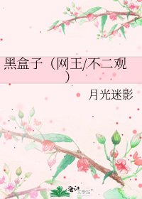 黑盒子(网王/不二观)
