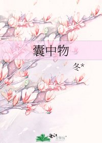 囊中物