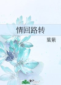 情回路转