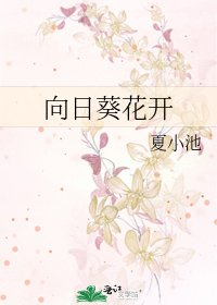 向日葵花開