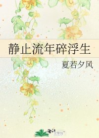 静止流年碎浮生