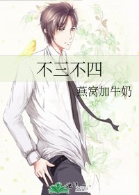 不三不四