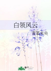 白领风云