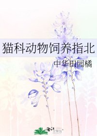 貓科動物飼養指北