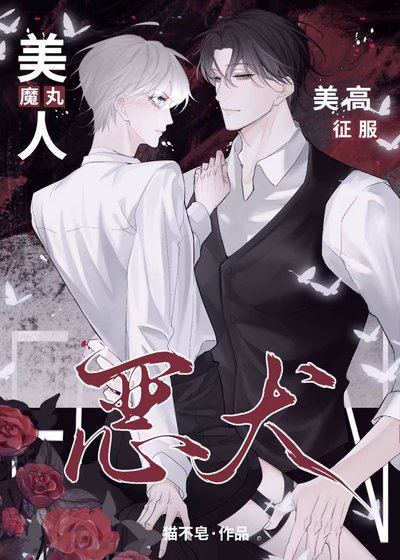 魔丸美人，美高征服惡犬