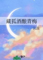 (排球少年同人)藏狐酒釀青梅