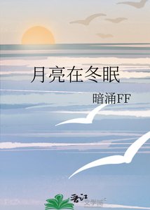 《月亮在冬眠》