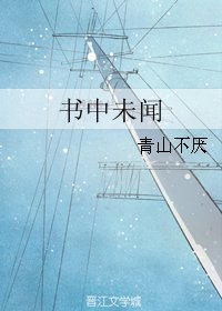 (BL/全职同人)书中未闻