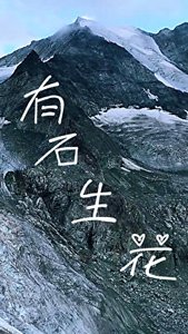 《有石生花》