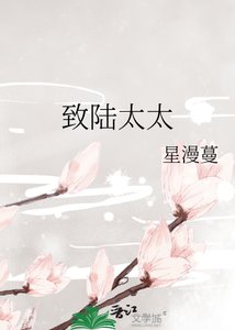 《致陆太太》