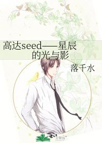 高達seed——星辰的光與影