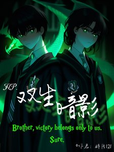 (HP同人)HP:雙生暗影