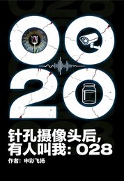 針孔攝像頭後,有人叫我:028
