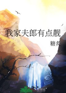 我家夫郎有點靚