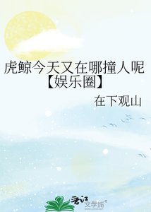 《虎鲸今天又在哪撞人呢【娱乐圈】》