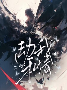 《劫我私情》