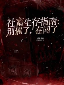 《社畜生存指南:别催了,在闯了》