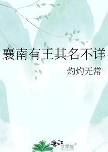 《襄南有王其名不详》