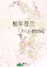 栀年苍兰