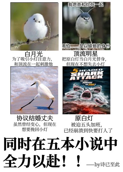 同时在五本中全力以赴！！