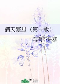 满天繁星(第一版)