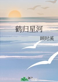 鹤归星河