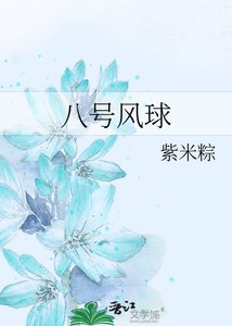 《八號風球》
