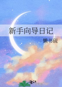 新手嚮導日記