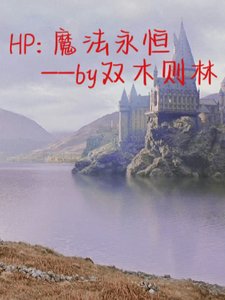 (HP同人)HP:魔法永恆