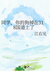 《同學,你的狗掉在318國道上了》