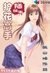 《護花高手插班生》